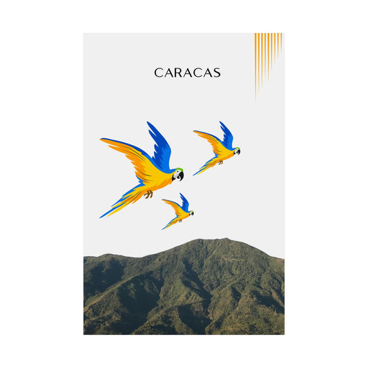 CARACAS Poster Decorativo