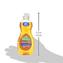 Dishwashing Liquid Anti-Bacterial - Orange 10 Oz.