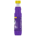 All Purpose Cleaner - Lavender 16.9 Oz.